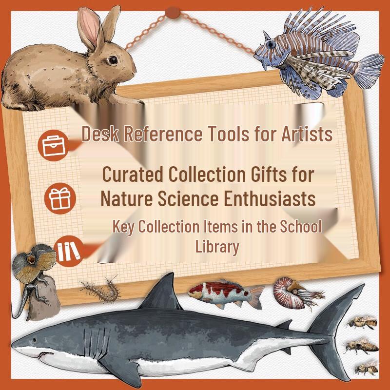 Illustrated Guide To Animal Anatomy