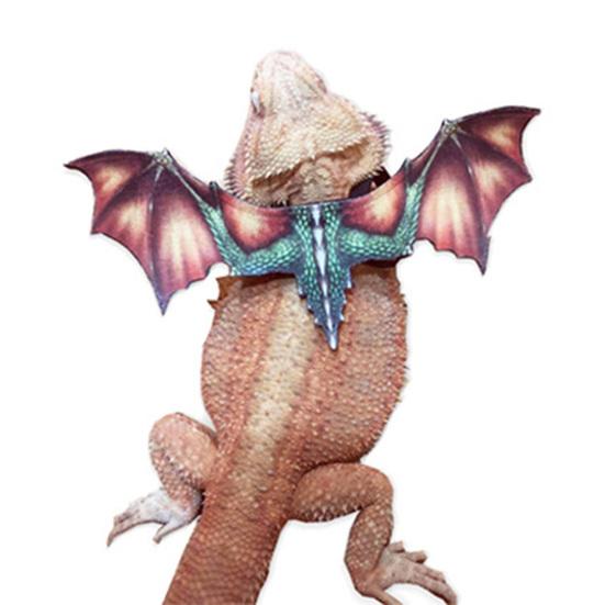 Lizard Leash Anti-Bite Wings Fleksibel Komfortabel skjeggete Drage Sele Kjæledyrsutstyr