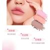 NOVO - Akira Hoshino Twelve Color Eyeshadow Palette - 3 Types