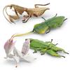Lifelike Insect Model Set With Four Unique Designs Including Orchid Mantis Leaf Insect And More