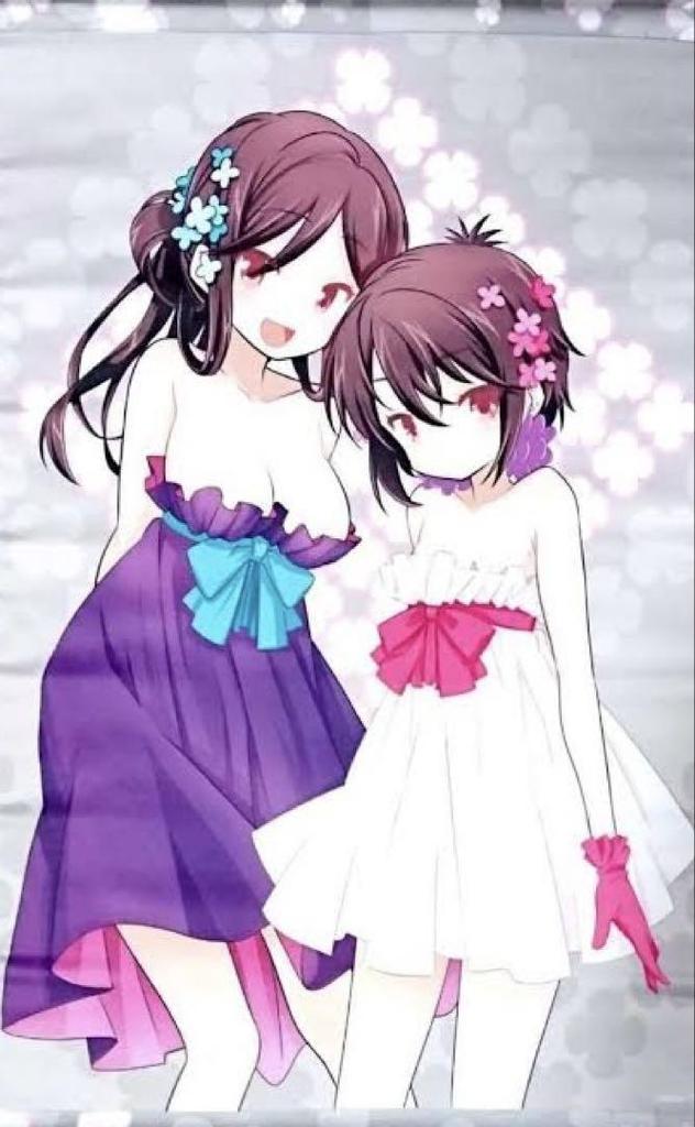 [USED] A Channel / Limited Edition Bonus / Acrylic Panel / Clear File / Tapestry