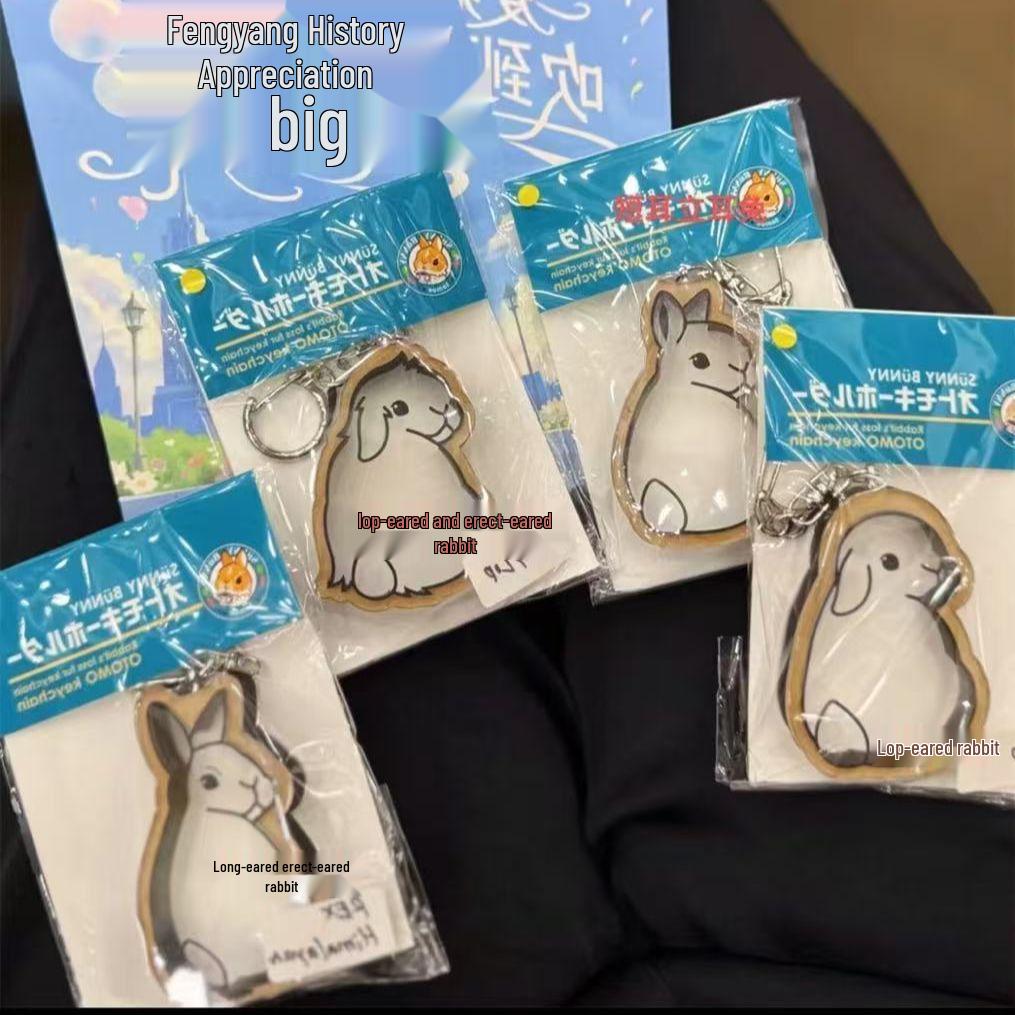 

Брелок-подвеска из кроличьего меха для товаров для питомцев и коробка для хранения ключей от машины