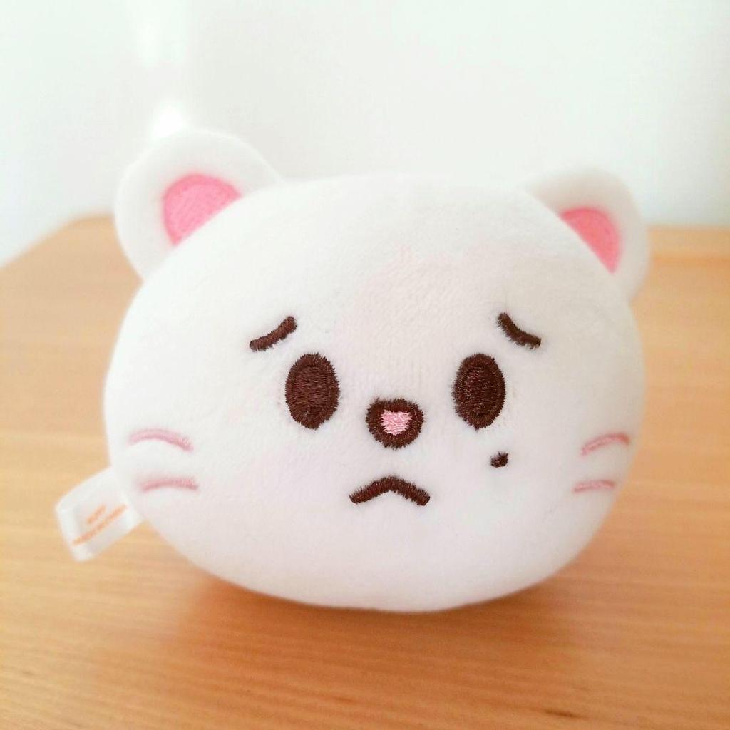 [USED] StrayKids SKZOO Stress Ball, Genilet