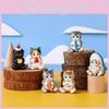 Hugging Cats Blind Box Collectible Pvc Models 6 Designs Desk Decor For Kids Teens