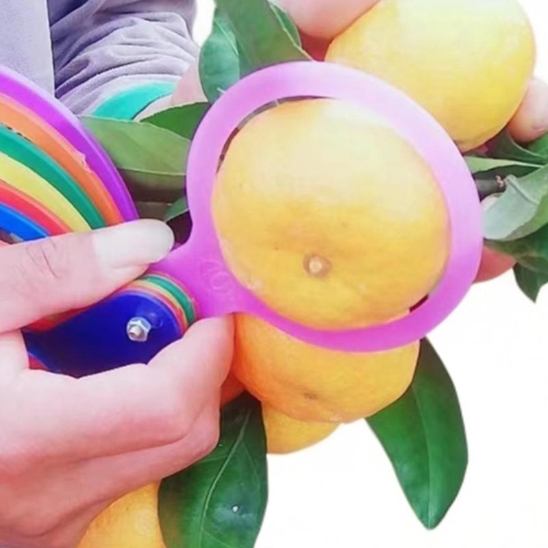 13 Piezas 30-120 Mm Plástico Fruta Medición Diámetro de la Tapa Calibres Círculo de Medición Regla Herramienta de Medición de Tamaño Equipo de Clasificación de Cítricos