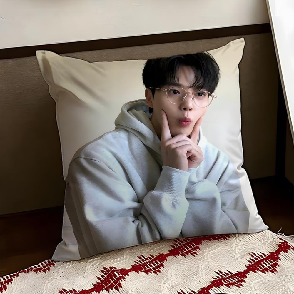 Korean Actor SSong KKang Cushion Cover Reversible Soft Durable Pillow Cover Home Car MultiScene Use for Daily Comfort