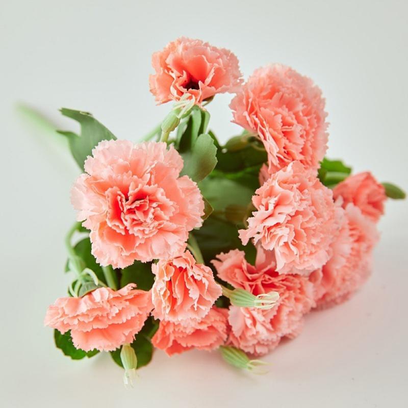 Centrotavola di Fiori Artificiali a 10 Teste Fiori Primaverili Finti in Seta per la Festa della Mamma Matrimonio Bouquet di Garofani Decorazione da Tavolo