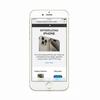 Apple iPhone 6 16GB ROM Gold/Black/Silver - 4G LTE Smartphone Unlocked Mobile Phone - Refurbished