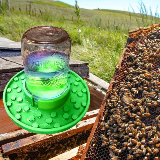 

Открытая садовая кормушка для пчел, обычная банка с широким горлышком, станция для питьевой воды для пчел, контейнер для воды с жаждущими опылителями фиолетовый