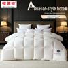 Hengyuanxiang Antibacterial Winter Quilt