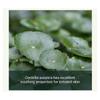 Pyunkang Yul - Calming Mask Pack