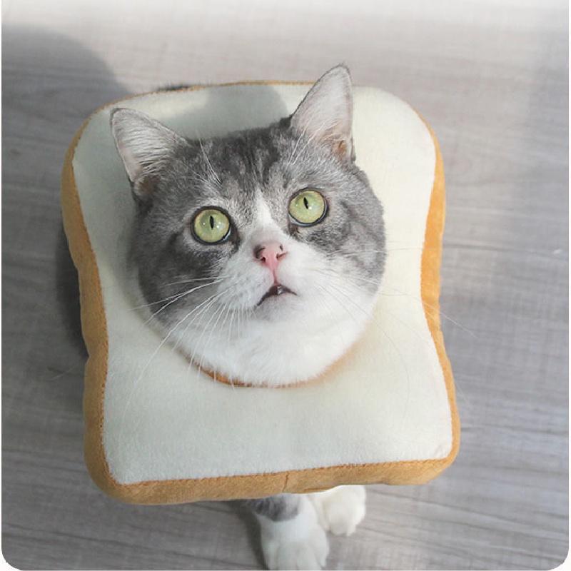 Adjustable Toast Bread Elizabethan Collar For Cats And Dogs, Cute Cartoon Design