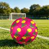 1pc Desert Sunset Cactus Theme Soccer Ball Football, Size 5, Lightweight PVC, Outdoor Training Soccer Ball,Gift j6147