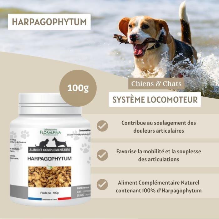 Harpagophytum 100g - Complément Naturel Pour Soutien Articulaire