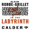 In the Labyrinth by Alain RobbeGrillet Paperback Book 9780714544571