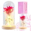 Bouquet of Pink Baby's Breath Under a Glass Dome LED Lighting Roz23