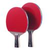 Double Fish 6-Star Table Tennis Racket