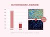 [Official] TEABLESS Fig Peach Oolong Tea Perfume Body Wash 500g  Fig Peach Oolong Tea Scent, Contains Ceramide, Polyphenols, and Scrub, Moisturizing,