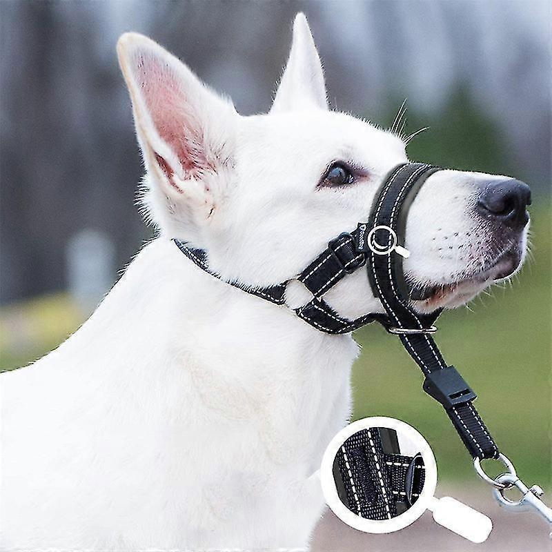 Muselière pour chien Anti-aboiement Anti-morsure Réglable Manchon pour animal de compagnie Cordelette de bouche en nylon Bleu