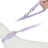 Set Collar Leash Pet PVC Cat Collar Leashes For Small Medium Big Dog Outdoor Walk