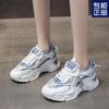 Mesh Autumn Breathable Dad Shoes Women's Ins Versatile Spring and Autumn New Student Leisure Sports Running Shoes