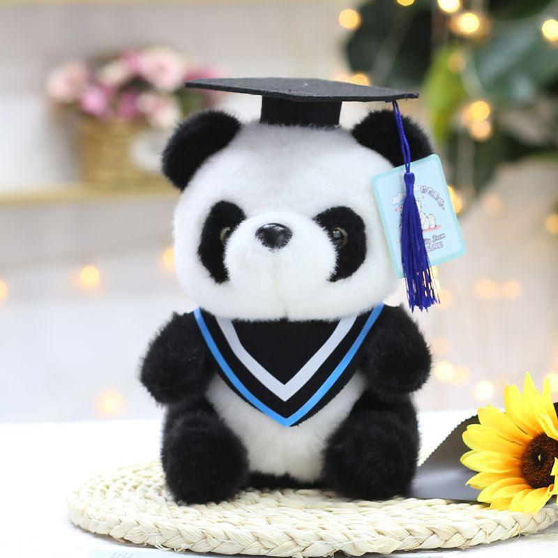 Student Graduation Dr. Child Panda Doll Doll Plush Toy Doll Student Graduation Gift