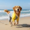 Tuta Raffreddante per Cani ad Asciugatura Rapida Traspirante Abbigliamento a Quattro Zampe per Cani Primavera Estate