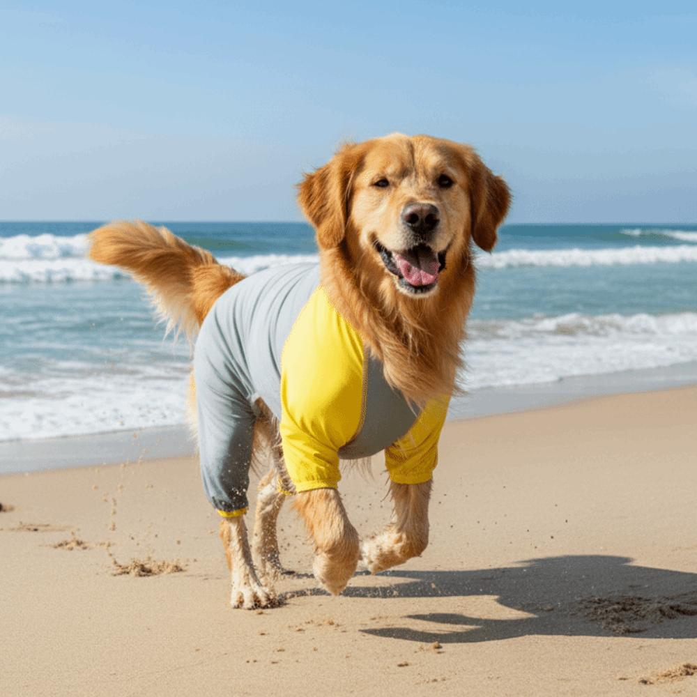Tuta Raffreddante per Cani ad Asciugatura Rapida Traspirante Abbigliamento a Quattro Zampe per Cani Primavera Estate