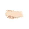 CEZANNE Darkening Zero No-Sebum UV Clear Face Powder
