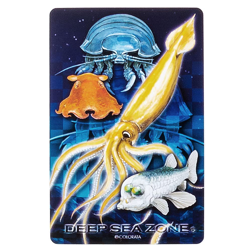 Carolata Realistické Hrací karty Hlubokomořští tvorové Mořská zvířata Hlubokomořské ryby Hračky Vzdělávací hračky Hrací karty Hry Obrázková kniha Dárky