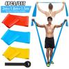 4Pcs/Set Elastic Fitness Bands Resistance Bands Tapes Yoga Pilates Crossfit Stretching Muscular Work Out Equipment 3