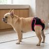 Adjustable Sticky Strap Dog Sanitary Pant Soft Fabric Pet Period Underwear  Outdoor Walking