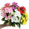 Vibrant Arrangement Silk Balsam Flowers Silk Material DIY Floral Materials Artificial Flowers Vibrant Colors Realistic