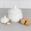 Ceramic Ventilated Garlic Keeper Breathable Garlic Container Household Ginger Jar  Countertop