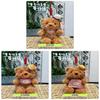 Cute Bear Bag Pendant With Polyester Plush Material For Kids And Teens