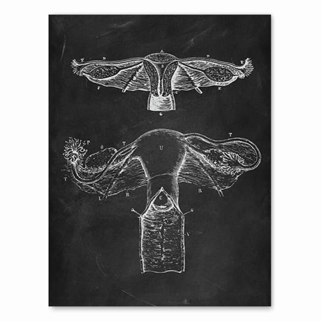 Έργα τέχνης ανθρώπινης ανατομίας ιατρική κλινική εικόνα τοίχου Σκελετός όργανο μυϊκό σύστημα Εκτύπωση εκλεκτής ποιότητας καμβάς Εκπαίδευση σώματος Αφίσα χωρίς πλαίσιο