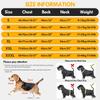 Winter Dog Coat Warm Insulated Dog Jacket Waterproof Windproof Reflective Pet Clothes for Small Medium Large Dogs