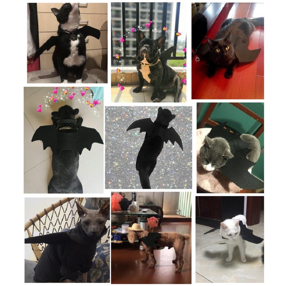 Neue süße Haustierkleidung, schwarzes Fledermaus- und Glockengeschirr, Kostüm, Heimtierbedarf für Katzen und große, mittelgroße