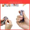 Premium Skin Picking Fidget Toys For Stress Relief And Sensory Stimulation In Various Sizes