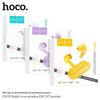 Hoco EW39 True Wireless Earbuds