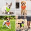 Reflective Dog Bandana Luminous Pet Neckerchief Soft Touch Dog Saliva Towel  Pet Grooming