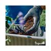 Compost Accelerator - 5 Kg For 25 To 100 M2 / 5 M3 - For Higher Quality Compost In Less Time - Organifer