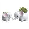 Creative Home Gardening Ceramic Succulent Flower Pot, Cute Desktop Potted Plant New Animal Ceramic Flower Pot Ornament