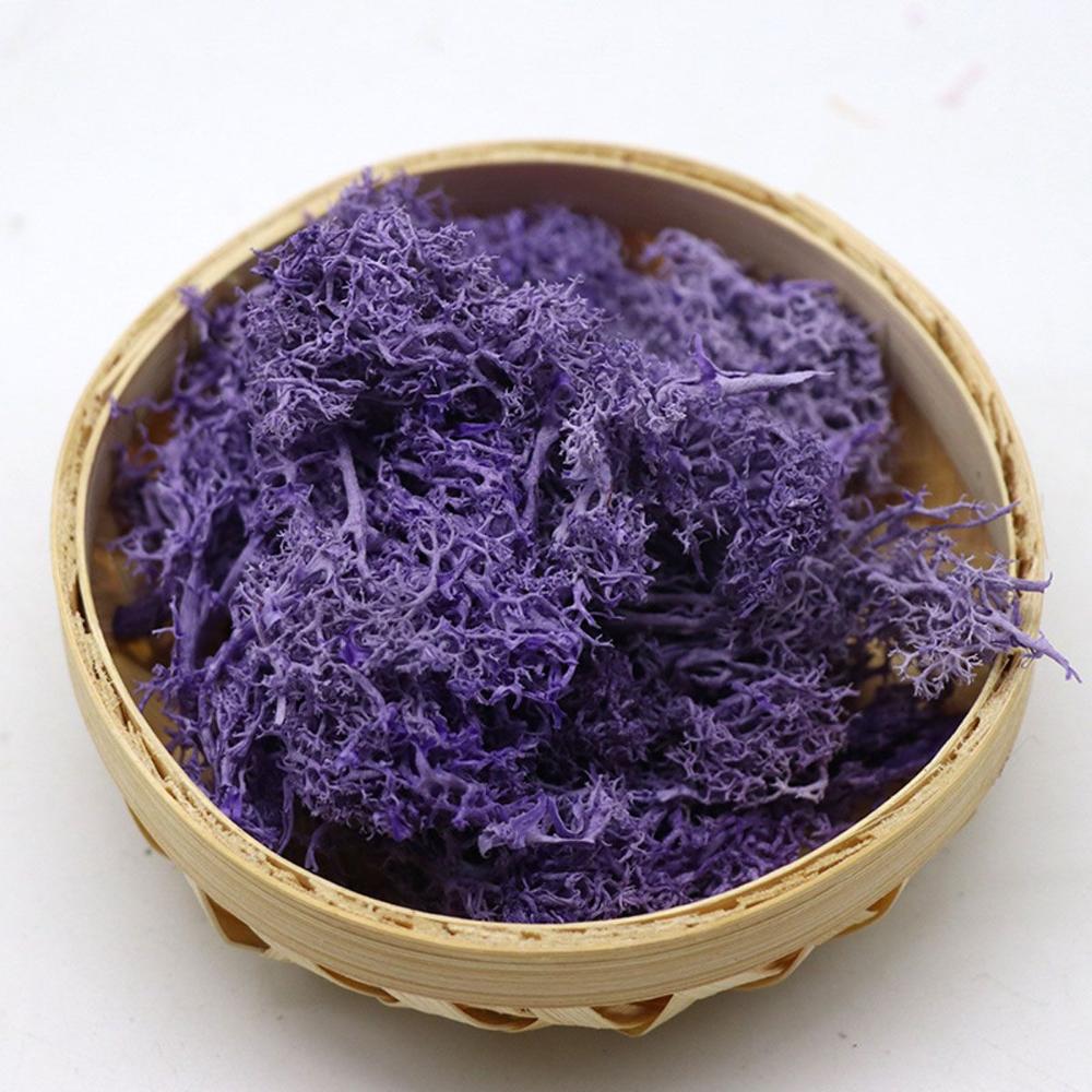 Colorful DIY Wedding Flower Home Decor Christmas Artificial plant Micro Landscape Eternal Life Moss Reindeer Moss