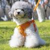 Dog Leash, Small Dog Leash, Chest and Back Strap, Bichon Frise Teddy, Cute Dog Walking, Pet Extendable