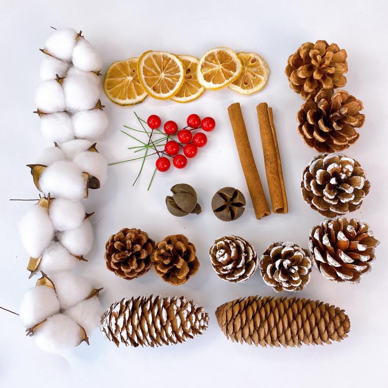 Natural Dried Pine Cones for Christmas Tree Decoration, Photography Props, Floral Wreaths, and Bouquets.