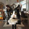 Calico Cat,pattern Flannel Blanket, High quality Comfortable for All Seasons, Home Decor, Warmth and Comfort, Perfect for Gifts.