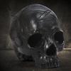 Resin Crafts Model Teaching Supplies Animal Skull Halloween Props Masquerade