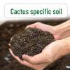 Cactus & Bonsai Organic Root & Flower Fertilizer - Slow-Release Nutrient Soil Enhancer