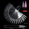 50pcs Fan-Shaped Nail Practice Display Tips Clear Nail Display Sticks  Display Board